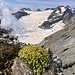 Ausblick über den Claridenfirn zum Clariden