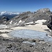 Gletscher schon fast ausgeapert - das Sterben geht leider weiter...