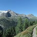 Hartdegenweg mit Rieserfernerblick