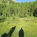 Morgens im schönen Val Mulix mit den langen Schatten