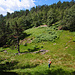 Sundalshaug, eine verlassene Alpe