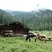 Mittereisalm.