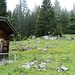 Hocheisalm, dem Pfad weiter oben dann nach rechts folgen.