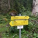 Hinter diesem Wegweiser führt ein unbeschildeter Pfad weiter zur Hocheisspitze.