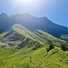 Ein sehr steiler Aufstieg, technisch eher unschwierig, aber bei feuchten und hohem Gras wie heute, muss er mit Vorsicht begangen werden