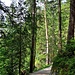 Hier startet der knapp sieben Kilometer lange Rundweg um den Eibsee.