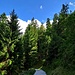 Uferweg