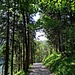 Und noch mehr Uferweg.