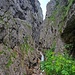 Hinter der Hütte geht es dann hinein in die Klamm.