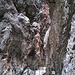 Mehrere Brücken wie diese ermöglichen die Begehung der Klamm.