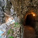 Bach und Tunnel