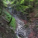 ...zickzackt sich der Stangensteig rechts hinunter und trifft dort auf einen Querweg, den Dr.-Heinrich-Weg. Hier faltet sich der Fels.