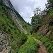 Er führt steil und teils ausgesetzt hinauf in die Osthänge der Schlucht...
