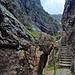 Am oberen Ende der Klamm wird das Gelände dann wieder weitläufiger.