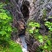...zumeist sehr spektakulär bachnahe Begehung der gesamten Klamm. 
