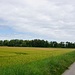 nordwärts