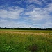 weites Land