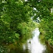 am Bach entlang