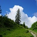 nach der Kappeler Alp geht es gemütlich weiter