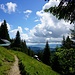 im Aufstieg zum Edelsberg von Süden
