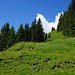 Querung unterm Edelsberg