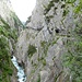 Dabaklamm