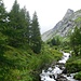 Aufstieg zum Dorfersee