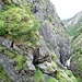 Dabaklamm