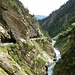 Dabaklamm