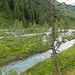 Unterwegs im Dorfertal