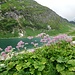 Dorfersee (1935 m)