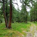Aufstieg zum Dorfersee