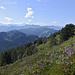 schöne Erika-Landschaft am Chli Fürstein