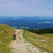 Blick vom Hörnle ins Voralpenland