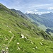 nach einem kurzen Aufstieg wird es jetzt richtig gemütlich