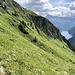 die Spur ist nur noch teilweise zu sehen, weil sie immer stärker überwachsen ist