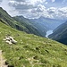 der gemütliche Teil geht noch ein wenig weiter, wird dann aber schnell etwas ungemütlicher - im Tal rechts der Lago del Sambuco