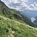 die folgende Geländeterrasse gewinnt man durch eine Rinne, vorher fällt der Weg etwas ab und wird immer schmaler in immer steileren Hängen