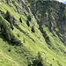 in dieser Passage sollte man trittsicher sein und nicht allzu schnell Höhenangst bekommen - die Hänge fühlen sich steiler an als es hier auf dem Bild scheint