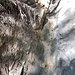 in der Mitte Mergel - hier rinnt das Wasser