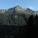 hinter uns der Moosstock