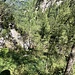 Start nach der Kehre, steil im Wald neben dem Gramaikarbach hinauf.