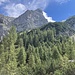 Blick zur Schaufelspitze, davor der Latschrücken, den ich dann hoch bin.