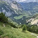 2h später - im Mehrkampf hatte ich keine Muße für Fotos. Was will man schon fotographieren, wenn man unter den Latschen kriecht....<br />Zentral den Rücken unten hoch, bis man auf freiere steile Wiesen und Gassen trifft. Besser soll wohl der nächste Rücken sein, der direkt zum Sattel emporführt. Da ist nur der Einstieg unten sehr unübersichtlich, da tiefe Gräben und Abbrüche.