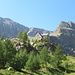 Rifugio Migliorero