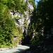 oberhalb der Partnachklamm