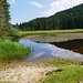 Wildmoossee