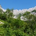 Bergleintal