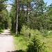 an der Leutascher Ache