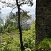 Ruine Fragenstein